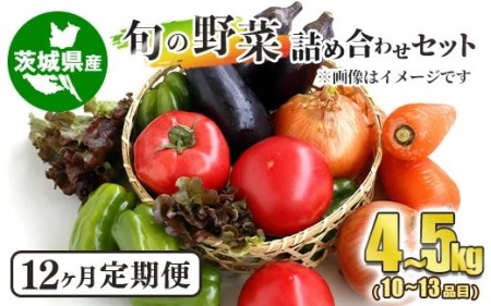 [定期便]旬の野菜詰め合わせセット 毎月12ヶ月 10〜13品目 4〜5kg