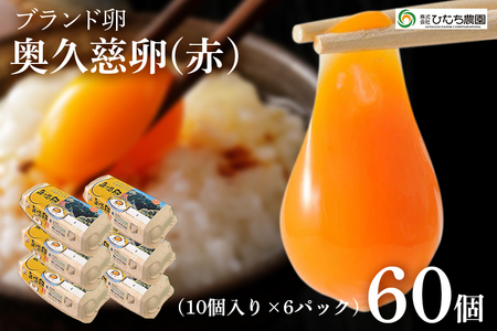 三ツ星レストランや一流料理人が愛するブランド卵『奥久慈卵』 赤 60個 たまご タマゴ ミネラル 茨城県 [株式会社ひたち農園][ho1315]
