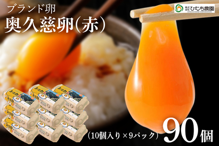 OcXgꗬluhwvx  90 ܂ ^}S ~l 錧 yЂЂ_zyho1319z