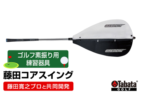 タバタ Tabata 藤田コアスイング GV0233 練習 ゴルフ トレーニング 素振り 安定 茨城県 [テンポイント(株)][ho1329]