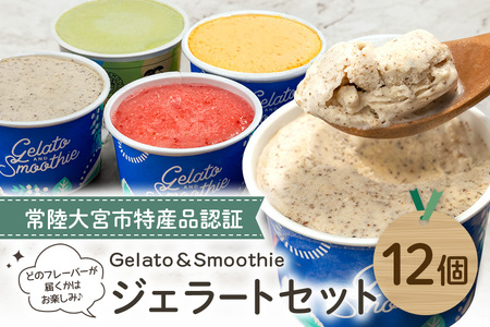GelatoSmoothie WF[g oGeBZbg 12 XC[c ACX  fU[g  ~N v  A{Jh  ɂ񂶂 yCȋÂijzyho1386z