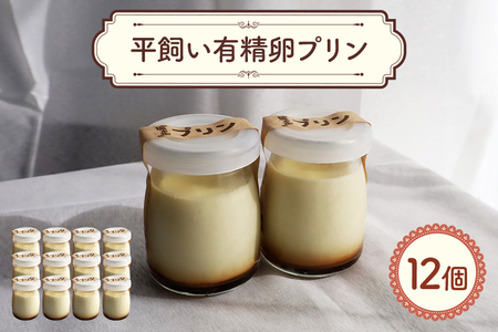 ̉ Lv 12 XC[c َq Z VN Y Ղ ①  fU[g ܂ 蕨 O v[g mَq v XC[cMtg lߍ킹 a j y