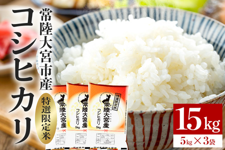 헤{Y RVqJ 15kg(5kg×3) I Ђ uh yʍc@l헤{sόYzyho1398z