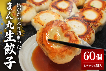 まん丸生餃子冷凍30g×60個入り（1pac 6個入り）餃子 生餃子 国産豚肉 焼餃子 ぎょうざ ギョウザ ギョーザ 冷凍餃子 冷凍生餃子 小分け お取り寄せ 惣菜 中華惣菜 点心 中華 惣菜 中華料理 飲茶 おかず おつまみ そうざい男しゃく 茨城県 常陸大宮 【そうざい男しゃく】【ho1439】