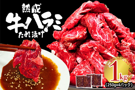 熟成牛ハラミ 1kg (250g×4パック) たれ 味付 小分け 冷凍 焼肉 焼き肉 牛 牛肉 ビーフ ハラミ BBQ [そうざい男しゃく(株式会社池延)][ho1468]