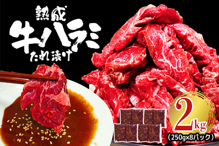 nn~ 2kg (250g×8pbN)  t  Ⓚ ē Ă   r[t n~ BBQ yjႭiВrjzyho1469z