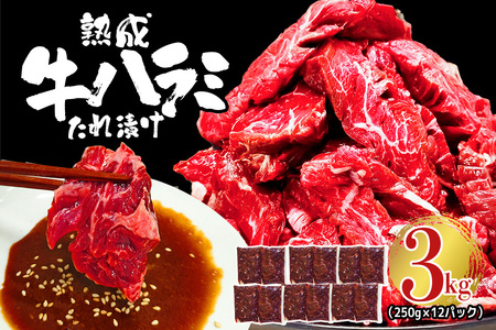 nn~ 3kg (250g×12pbN)  t  Ⓚ ē Ă   r[t n~ BBQ yjႭiВrjzyho1470z