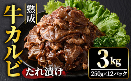 nJr 3kg (250g×12pbN)  t  Ⓚ ē Ă   r[t Jr BBQ yjႭiВrjzyho1473z