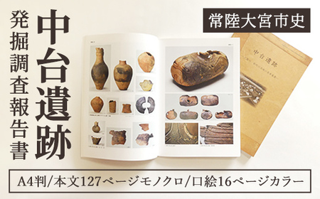 中台遺跡 発掘 調査 報告書 遺物 遺跡 土器 古墳 歴史 資料 日本史 茨城県 [常陸大宮市教育委員会事務局文化スポーツ課][ho1498]