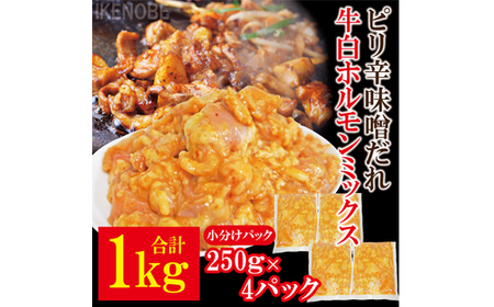 牛白ホルモンミックス ピリ辛味噌だれ 1kg(250g×4パック) 冷凍 小分け ホルモン 味噌 たれ 味付 焼肉 焼き肉 肉 牛 牛肉 おかず おつまみ [そうざい男しゃく(株式会社池延)][ho1598]