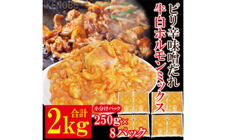 z~bNX shX 2kg(250g×8pbN) Ⓚ  z X  t ē Ă     ܂ yjႭiВrjzyho1599z