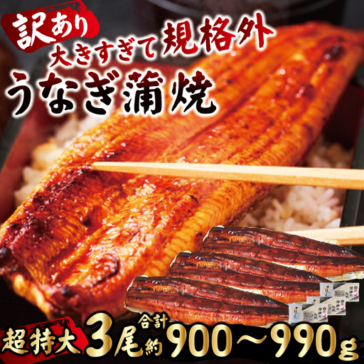 うなぎ 訳あり 3尾 計900g以上 うなぎ 【ho1686】
