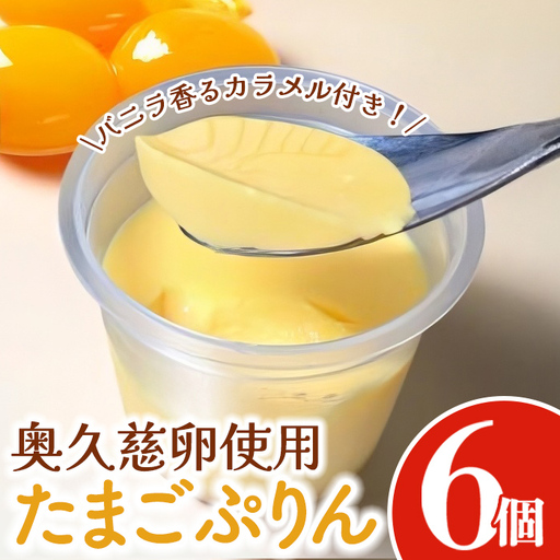 奥久慈卵使用 たまごぷりん 6個セットとバニラ香るカラメル 洋菓子 スイーツ [プリン][ho1699]