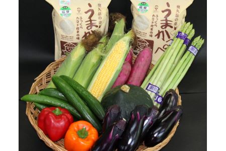 奥久慈の恵「うまかっぺ米」と季節の野菜セット