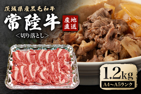 瑞穂農場で育てた常陸牛切り落とし 約1.2kg 冷凍配送 牛肉 ブランド牛 A4 A5 A4ランク A5ランク 茨城県 モモ ばら かた 赤身 霜降り 部位ミックス 国産 切り落とし 国産牛 柔らか 牛丼 肉じゃが 冷凍 お取り寄せ 【（株）フロンティアロード】【ho0904】