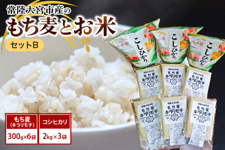 常陸大宮市産のもち麦とお米セットB 大麦 雑穀 白米 コシヒカリ 食物繊維 健康 茨城県 [オノセダイコク株式会社][ho1255]