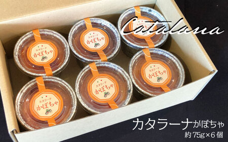 カラターナ かぼちゃセット