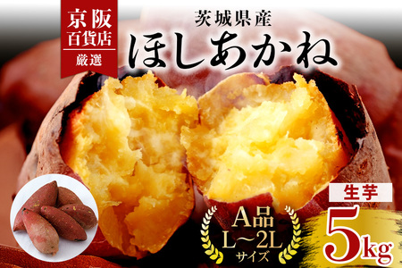 [京阪百貨店厳選]茨城県産ほしあかね 5kg [A品L〜2Lサイズ] 芋 さつま芋 サツマイモ さつまいも