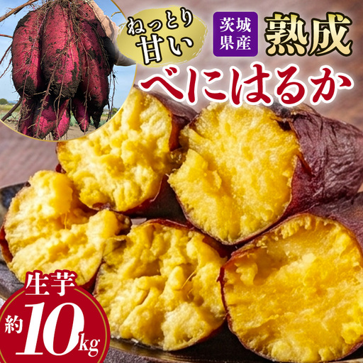 ねっとり甘い♪茨城県産熟成べにはるか 約10kg B15-010