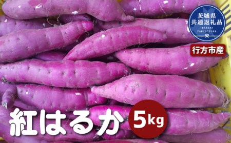 さつまいも 紅はるか 5kg 茨城県共通返礼品 行方市産 なめらか食感 甘い 焼き芋 ねっとり しっとり 甘みが強い スイーツ 料理 てんぷら スイートポテト お菓子作り