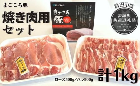 ܂ ĂZbg 1kg [X&o 錧ʕԗi gcsY       Y ͂  R  Mtg 蕨 ٓ ٓ ɂ ӂ c