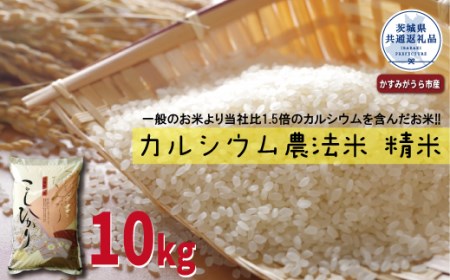 カルシウム農法米 精米10kg 茨城県共通返礼品・かすみがうら市産 米 お米 白米 こめ 精米 取り寄せ 特産 ごはん ご飯 コメ お取り寄せ ギフト 贈り物 お弁当 弁当 おにぎり ふっくら ツヤツヤ 甘い 農家直送 産地直送 国産 茨城県産
