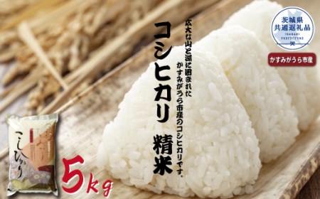 コシヒカリ 精米5kg(茨城県共通返礼品・かすみがうら市産)