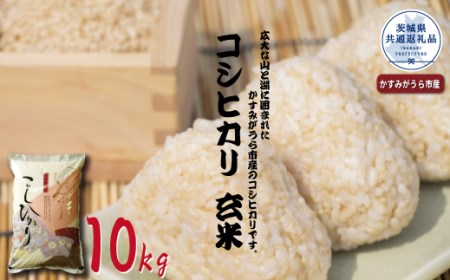 コシヒカリ 玄米10kg 茨城県共通返礼品・かすみがうら市産 米 お米 白米 こめ 精米 取り寄せ 特産 ごはん ご飯 コメ お取り寄せ ギフト 贈り物 お弁当 弁当 おにぎり ふっくら ツヤツヤ 甘い 農家直送 産地直送 国産 茨城県産