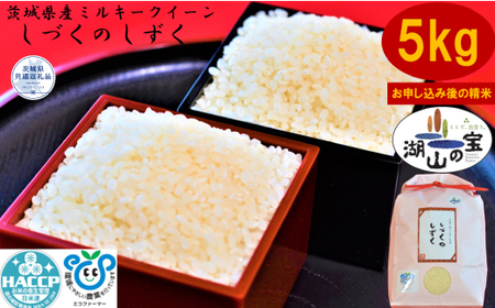 [令和7年度産]＼農家直送!出荷日精米/茨城県産 ミルキークイーン しづくのしずく 5kg 茨城県共通返礼品 かすみがうら市 米 お米 白米 こめ 精米 取り寄せ 特産 ごはん ご飯 コメ お取り寄せ ギフト 贈り物 お弁当 弁当 おにぎり ふっくら ツヤツヤ 甘い 農家直送 産地直送 国産 茨城県産