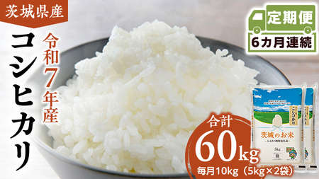 y  6 z 錧Y RVqJ 10kg ( 5kg × 2 )  [DK011ci]