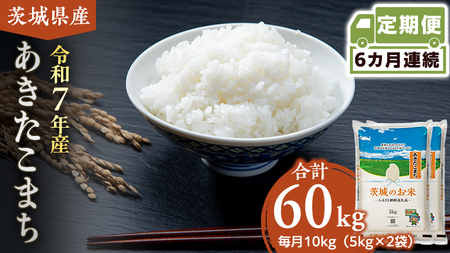 y  6 z 錧Y ܂ 10kg [DK015ci]