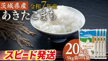 �X�s�[�h����!!�y12/24�����m�F���܂ŔN���z���z�y �ߘa7�N�Y �z ��錧�Y ���������܂� 20kg [DK019ci]