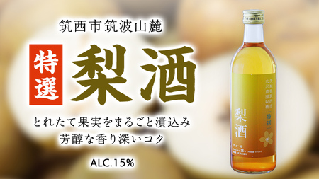 [ 特選 ] 梨酒 アルコール 15% ( 500ml × 1本 ) [DP007ci]