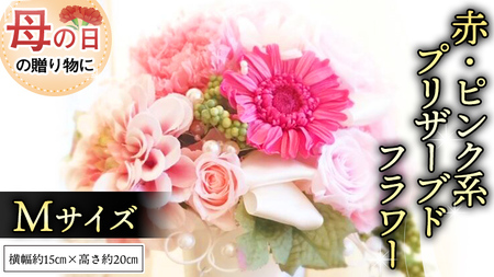 [ 母の日 ] 赤 ・ ピンク 系 プリザーブド フラワー M [CT102ci01]