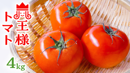 箱守果樹園 直送！ 「 王様トマト 」 1箱 4kg [DE002ci]