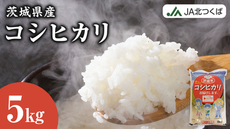 [ JA 北つくば ] 茨城県産 コシヒカリ 5kg 令和6年産 農協 米 お米 白米 コメ こしひかり 茨城県 精米 新生活 応援 [AE026ci]