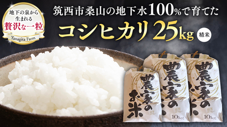 n100ō u RVqJ v 25kg ߘa7NY    R Ђ 錧  V  [DU004ci]