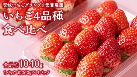 [ 茨城いちごグランプリ 受賞 農園 ] 完熟 いちご 4品種 食べ比べ セット イチゴ 苺 フルーツ 果物 果実 いばらキッス ひたち姫 とちおとめ やよいひめ よつぼし すず はるひ かおり野 ほしうらら [DY001ci]