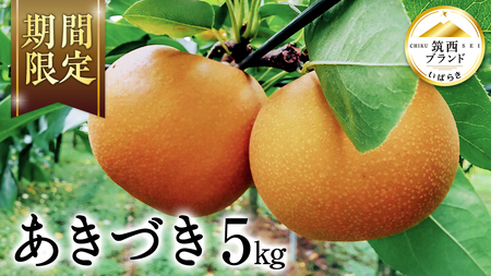 【 JA 北つくば 】 筑西ブランド 認証品 あきづき 5kg 2025年産 先行予約 梨 果物 フルーツ なし ナシ 和梨 秋月 秋月梨 あきづき梨 くだもの デザート 茨城 [AE028ci]