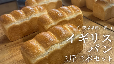 錧Y  CMXp 2 2{ Zbg Hp p  Ⓚ v[g Mtg [AU006ci]