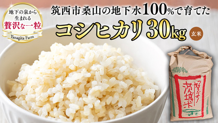 n100ō u RVqJ v 30kg (  ) ߘa7NY   R Ђ 錧  V   [DU014ci]