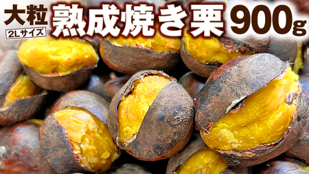 [ 谷口農場 ] 大粒 熟成 焼き栗 900g ( 2Lサイズ ) [EC003ci]