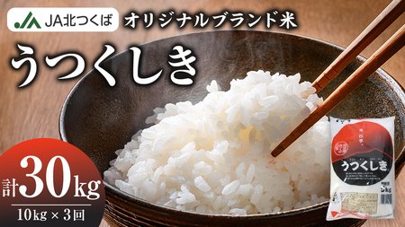 [ 定期便 3ヶ月 ] JA北つくば オリジナル ブランド米 「 うつくしき 」 10kg ( コシヒカリ ) ( 5kg × 2袋 ) 令和6年産 農協 JA 米 お米 白米 コメ こしひかり 茨城県 精米 新生活 応援 [AE046ci]