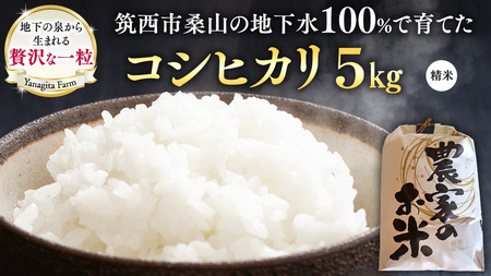 n100ō u RVqJ v 5kg ߘa7NY    R Ђ 錧  V  [DU017ci]