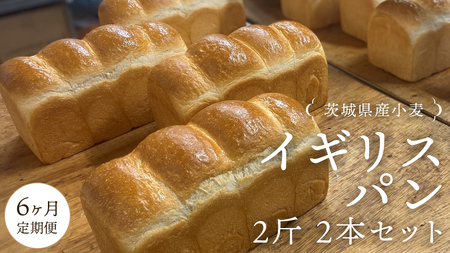 y 6  z錧Y  CMXp 2 2{ Zbg Hp p  Ⓚ v[g Mtg [AU019ci]