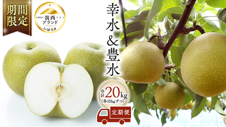  2 ( K  L e10kg v20kg )  Zbg 2026NY s\ Ȃ [AE023ci]