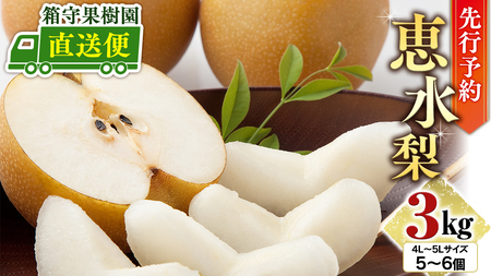 y s\ zʎ I b 3kg Ȃ  ʎ ʕ t[c [DE003ci]