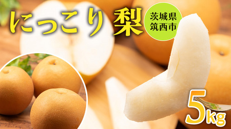 【 にっこり 】 梨 5kg なし ナシ 果物フルーツ 旬 [DB007ci]