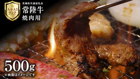 y 헤 z ēp 500g 錧ʕԗi ϔ A4 A5 uh Y    јa a Mtg  [AD009ci]