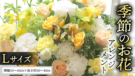 季節の お花 の アレンジメント L ギフト プレゼント 花 お祝い 贈答 記念日 フラワー [CT141ci]